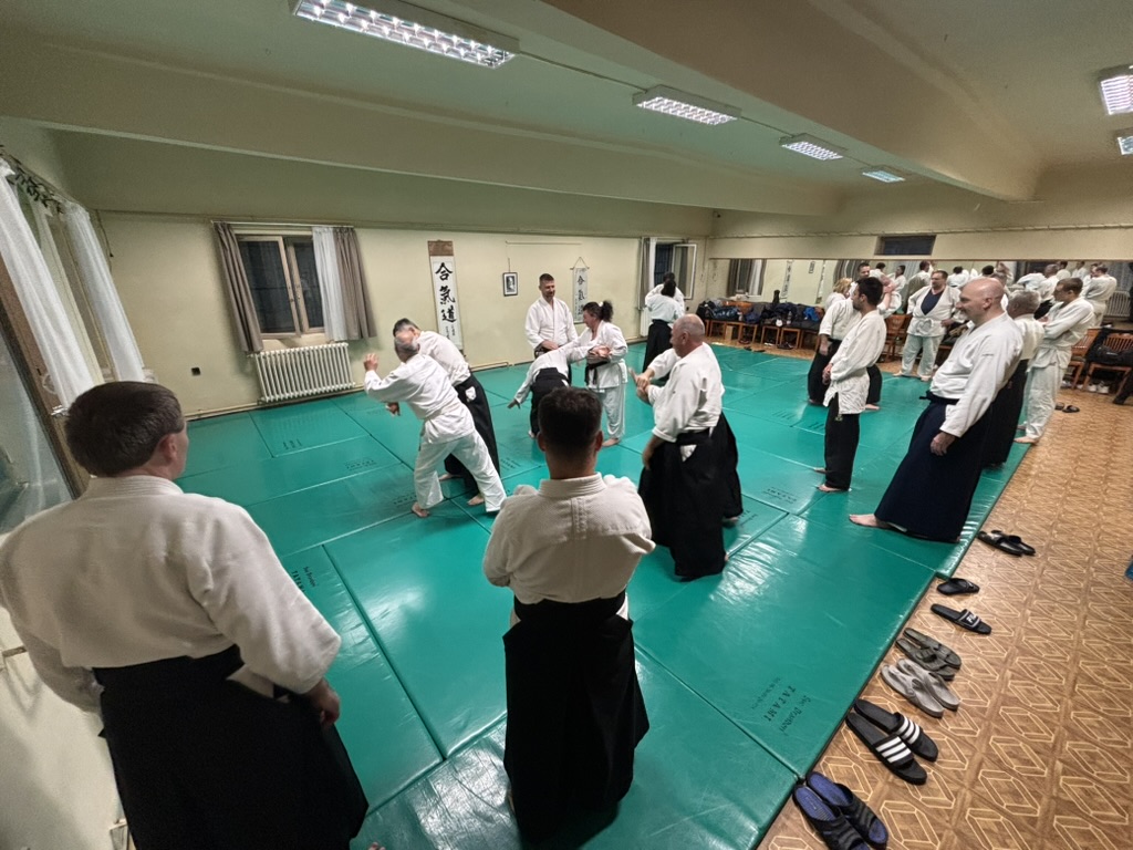 Aikido