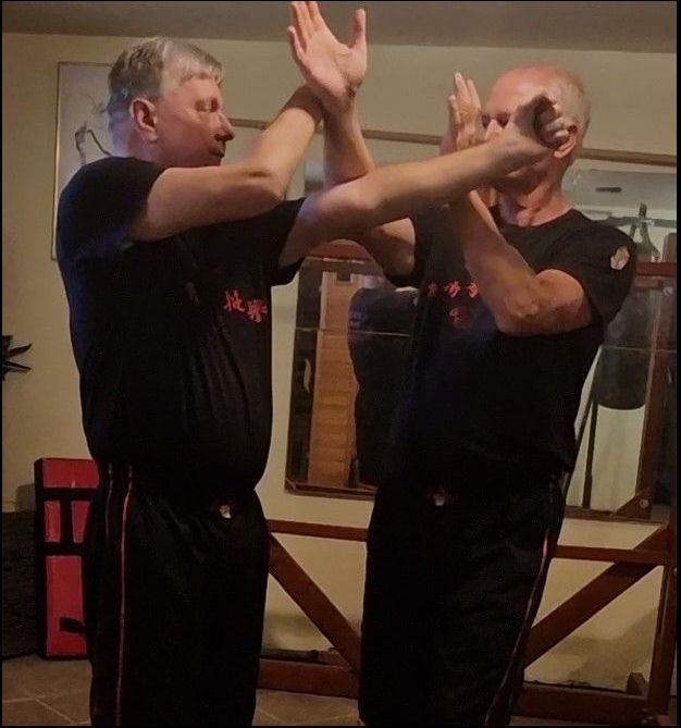 Wing Tsun Kung Fu