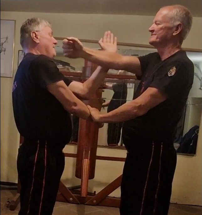Wing Tsun Kung Fu