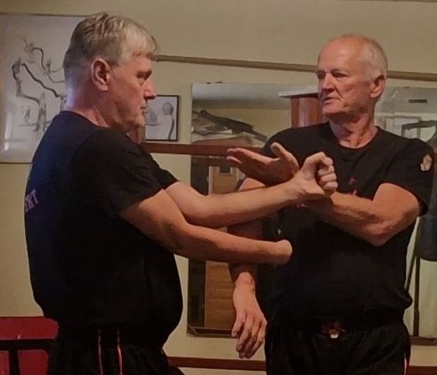 Wing Tsun Kung Fu