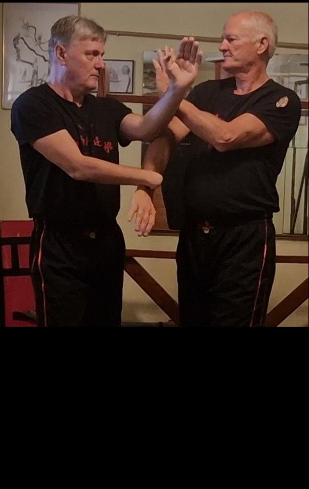 Wing Tsun Kung Fu